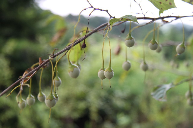 ファイル 2590-5.jpg