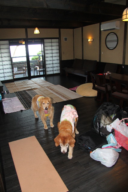 ファイル 2591-1.jpg