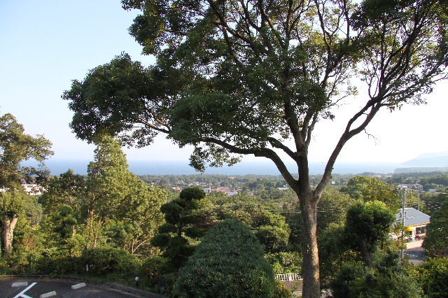 ファイル 2591-5.jpg