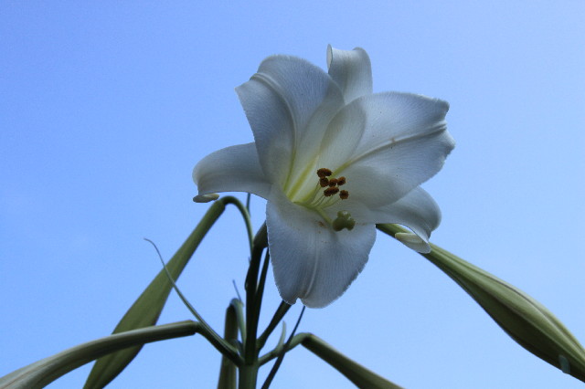 ファイル 2592-3.jpg