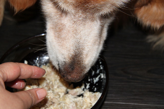 ファイル 2592-4.jpg