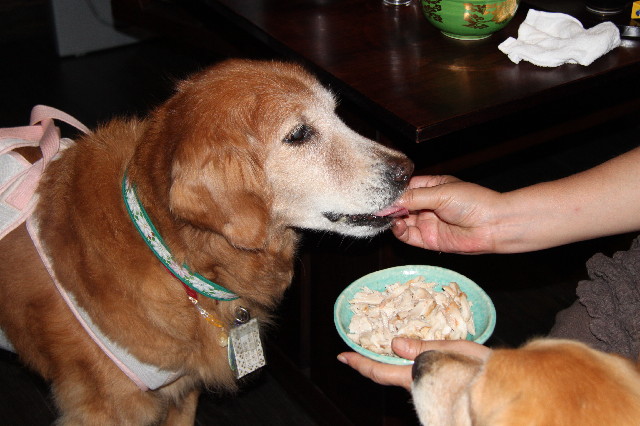 ファイル 2593-1.jpg