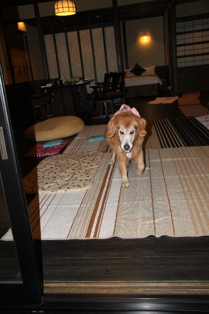 ファイル 2593-2.jpg