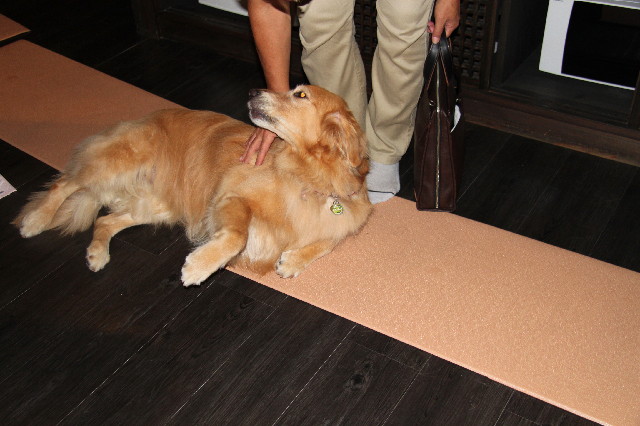 ファイル 2593-3.jpg