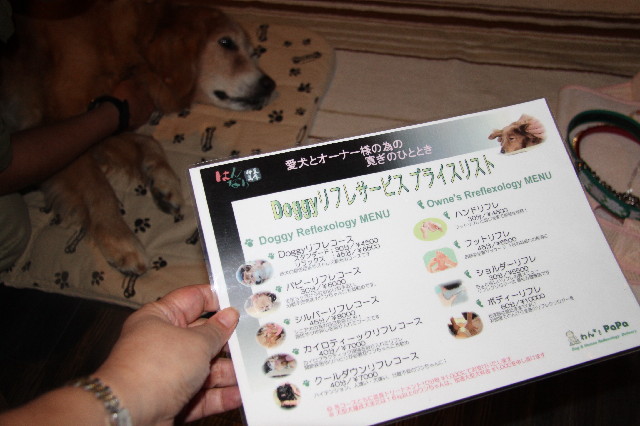 ファイル 2593-4.jpg