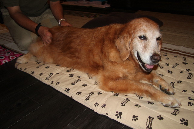 ファイル 2593-5.jpg