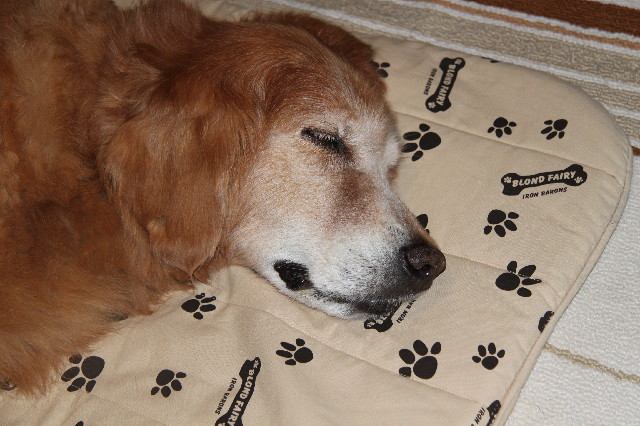 ファイル 2594-1.jpg