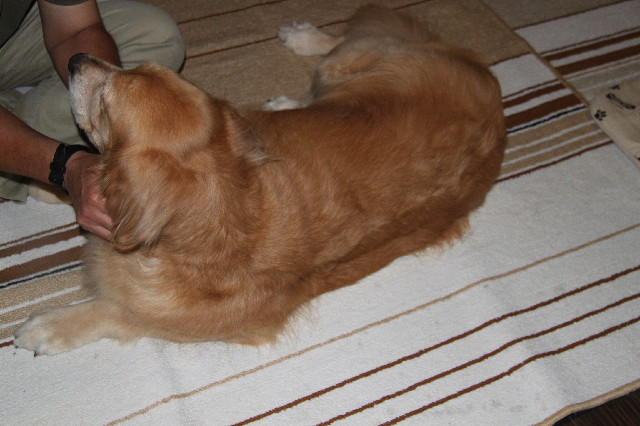 ファイル 2594-2.jpg