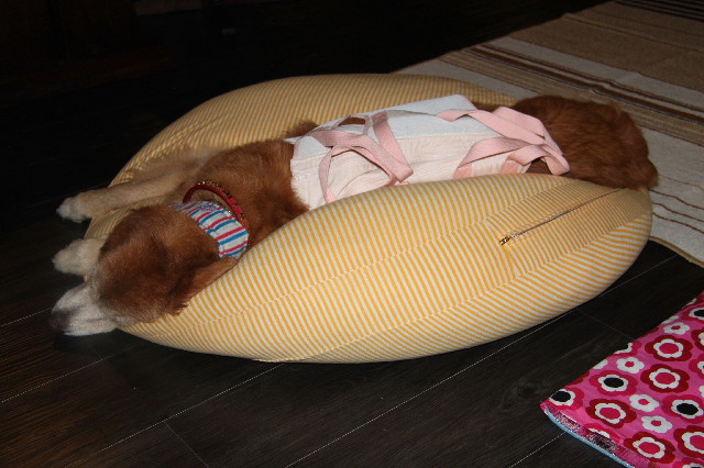 ファイル 2594-3.jpg