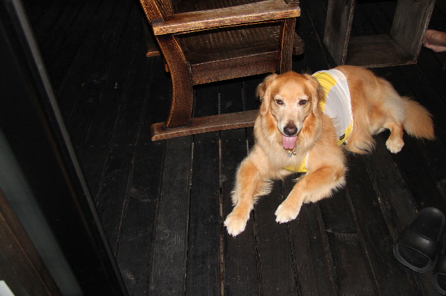 ファイル 2594-4.jpg