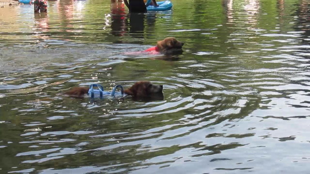 ファイル 2596-1.jpg