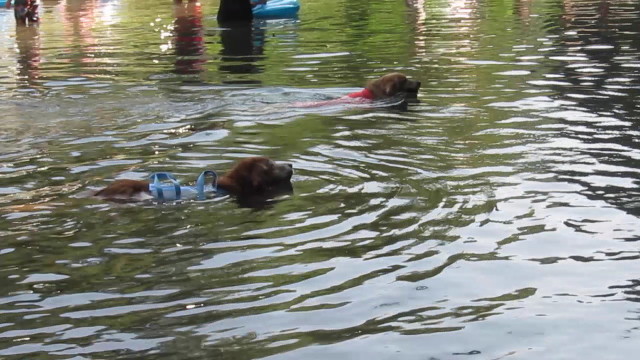 ファイル 2596-2.jpg