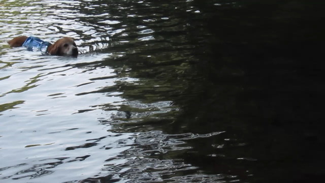 ファイル 2596-5.jpg