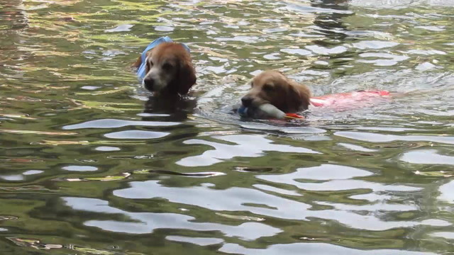 ファイル 2597-5.jpg