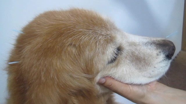 ファイル 2599-4.jpg