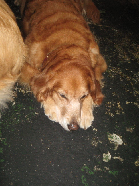 ファイル 260-2.jpg