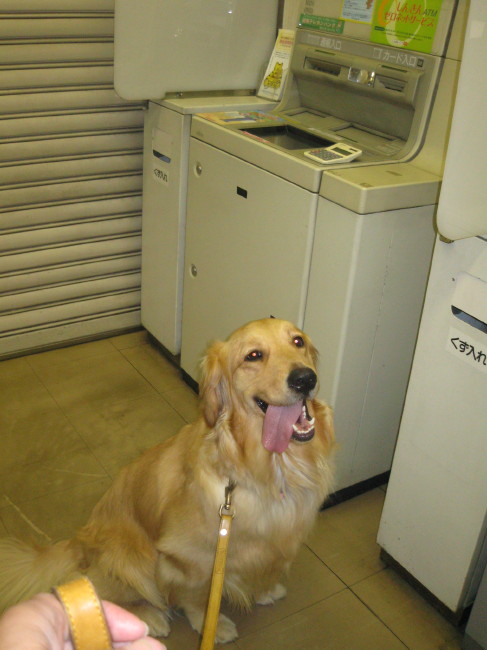 ファイル 260-3.jpg