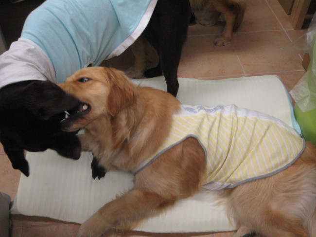 ファイル 260-4.jpg