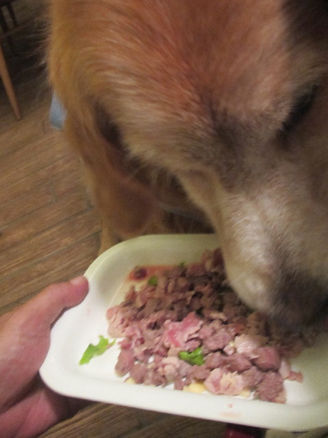 ファイル 2602-4.jpg