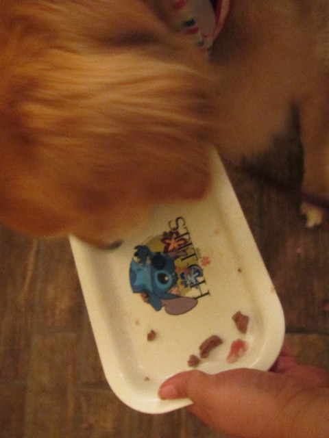 ファイル 2602-5.jpg