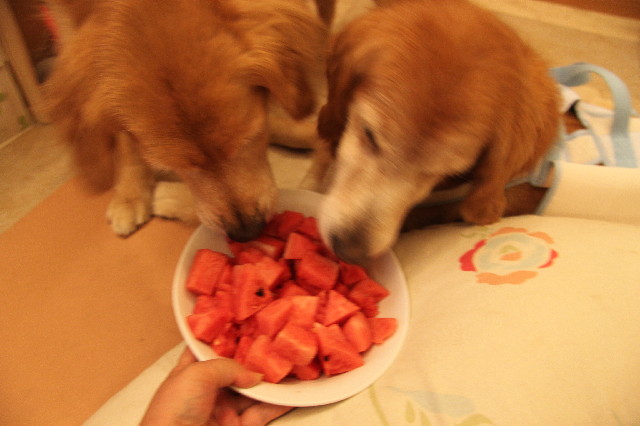 ファイル 2605-2.jpg