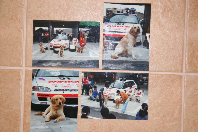 ファイル 261-1.jpg