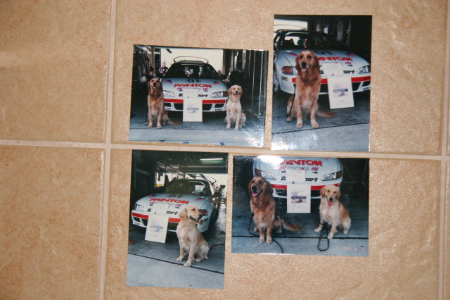 ファイル 261-2.jpg