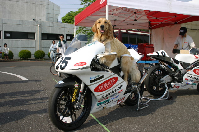 ファイル 261-4.jpg