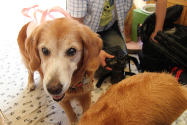 ファイル 2610-1.jpg