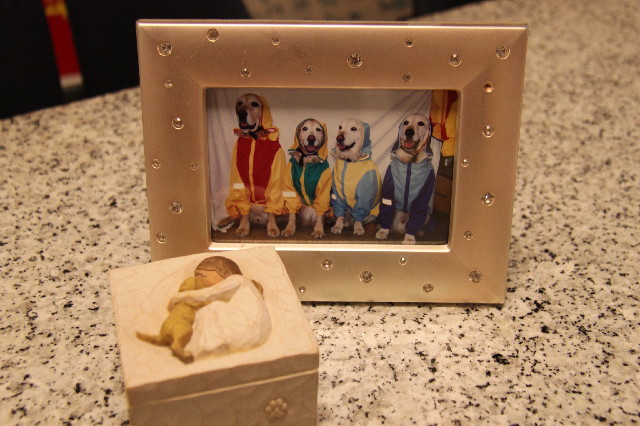 ファイル 2610-3.jpg