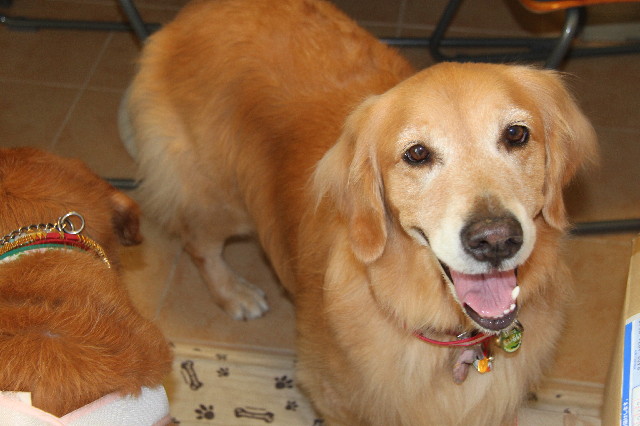 ファイル 2613-4.jpg