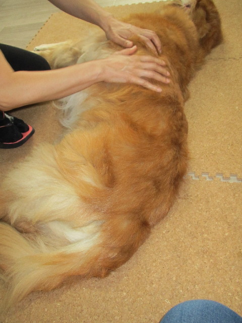 ファイル 2615-4.jpg