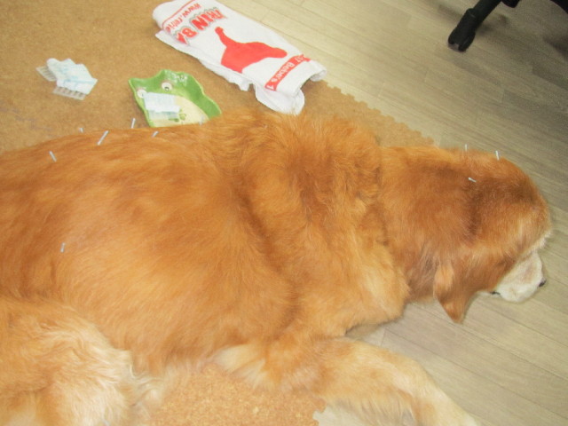 ファイル 2615-5.jpg