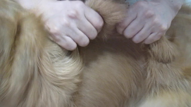 ファイル 2616-4.jpg