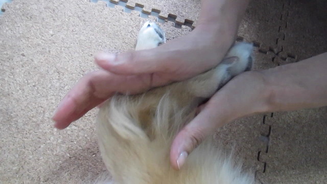 ファイル 2616-5.jpg