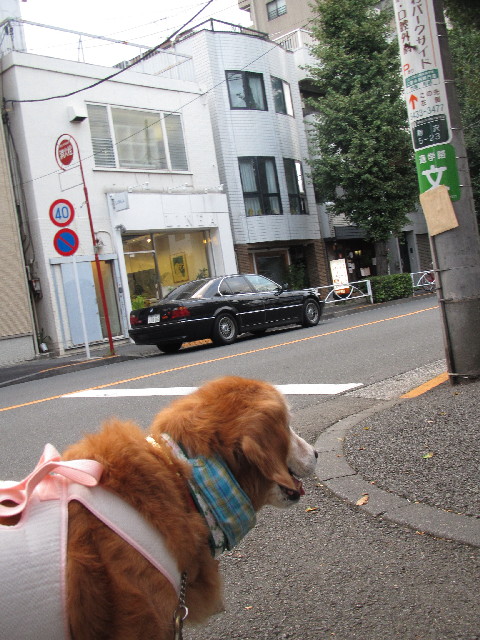 ファイル 2617-1.jpg