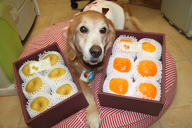 ファイル 2618-4.jpg