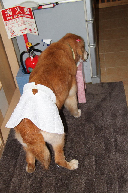 ファイル 2621-4.jpg