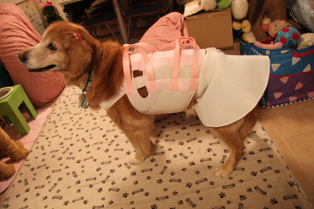 ファイル 2621-5.jpg