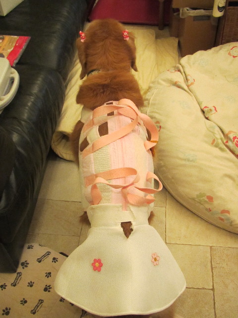 ファイル 2622-1.jpg