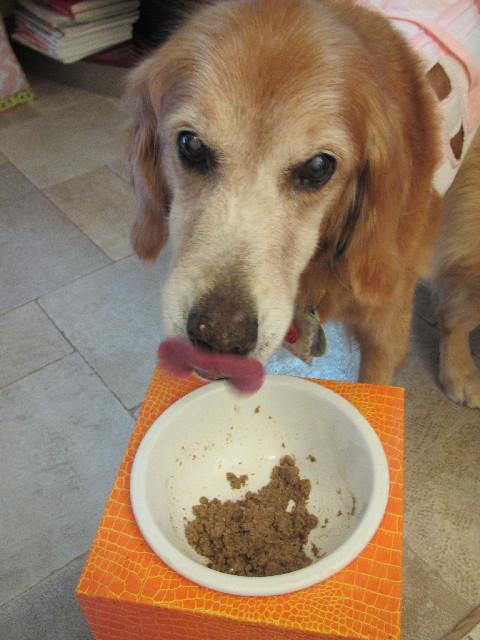 ファイル 2623-3.jpg