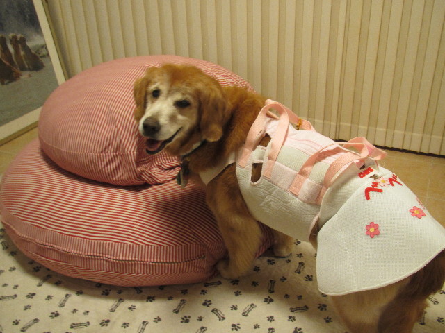 ファイル 2623-4.jpg