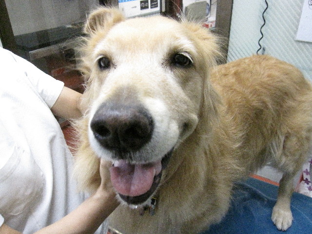 ファイル 2623-5.jpg