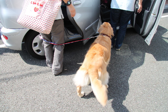 ファイル 2625-1.jpg