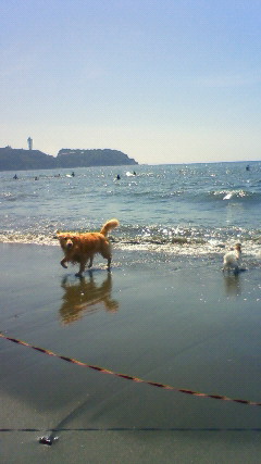 ファイル 2625-3.jpg