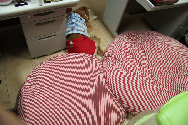 ファイル 2626-1.jpg