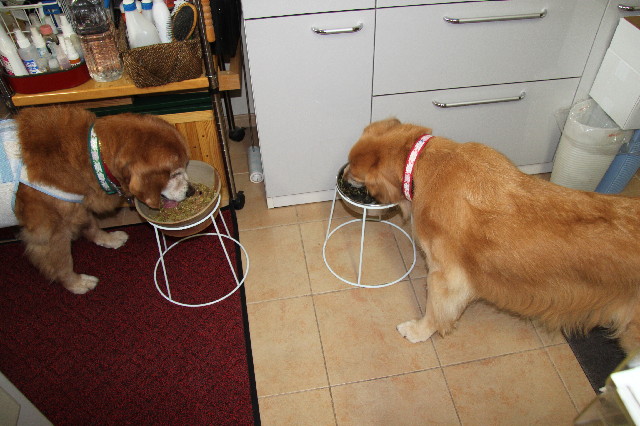 ファイル 2626-2.jpg