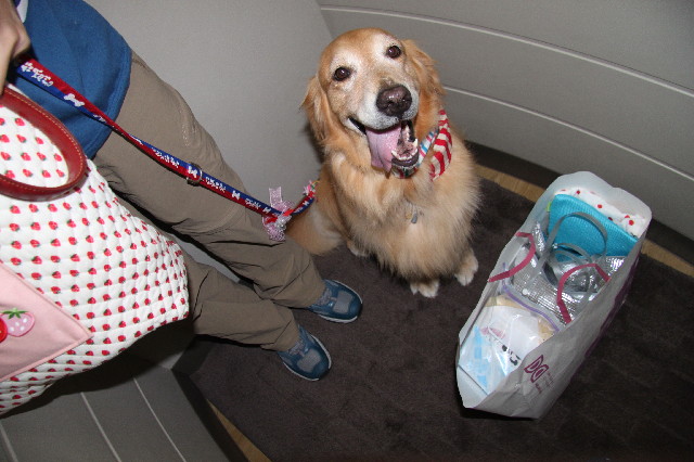 ファイル 2627-2.jpg