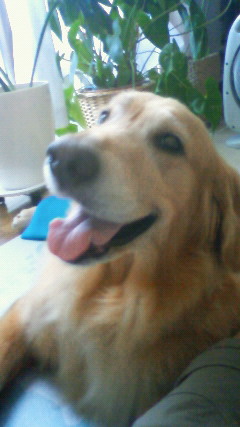 ファイル 2627-3.jpg