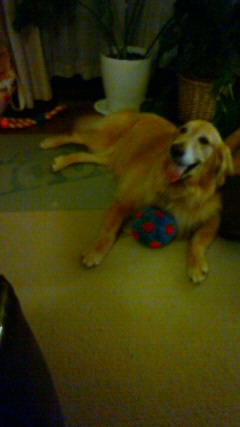 ファイル 2627-5.jpg